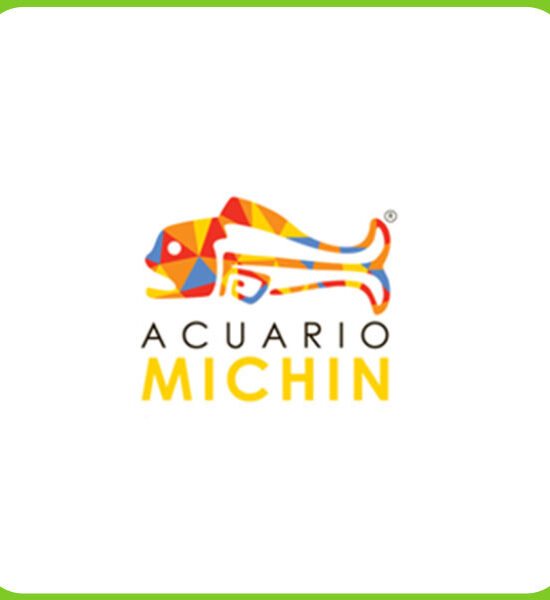 Acuario Michin