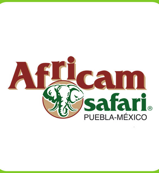 Africam Safari